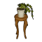 Topfpflanze auf Stuhl